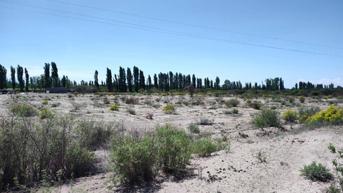Century21lopez Vende Finca De 26hs Inculta En Las Catitas, Santa Rosa Mendoza