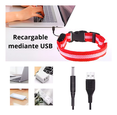 Collar Para Mascota Con Luz De Pila Usb