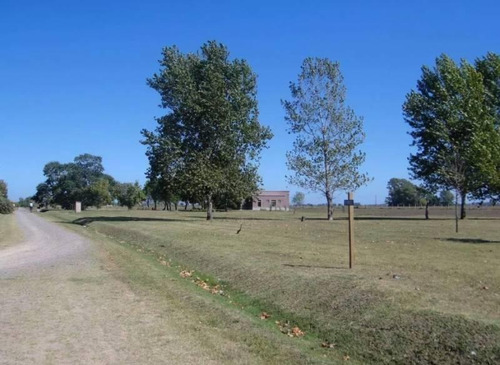 Imagen 5 de 8 de Lote En Venta En Lujan. Open Door
