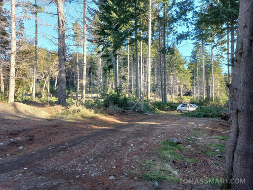 Imagen 2 de 4 de Terreno - Bariloche