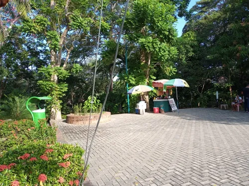 Local Comercial En Arriendo Centro, Montería