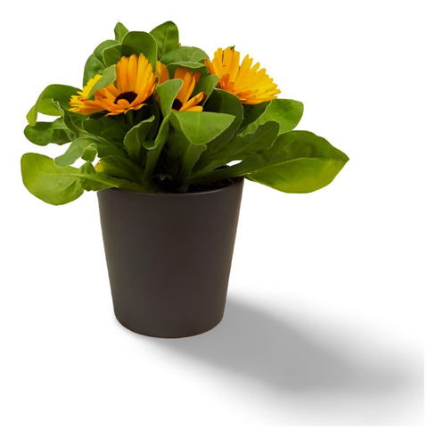 Planta Flores Artificiales Para Sala