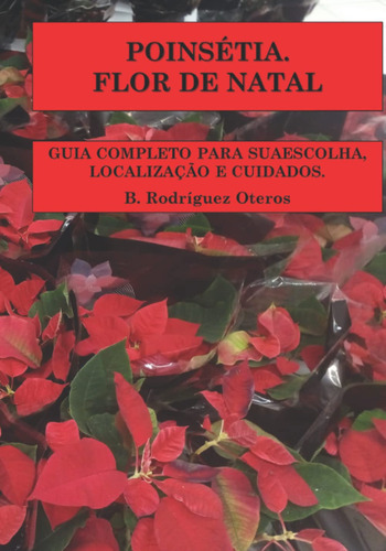 Poinsétia.flor De Natal: Guia Completo Para Sua Escolha, Loc