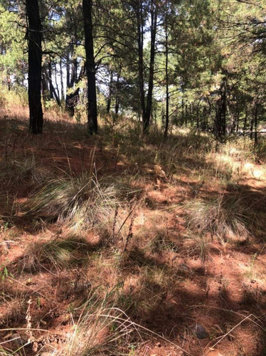 Imagen 15 de 24 de Terreno En Venta En Amanalco De Becerra, Amanalco, Edo. De México.