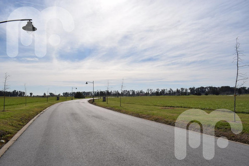 Imagen 4 de 13 de Venta Lote Area 60