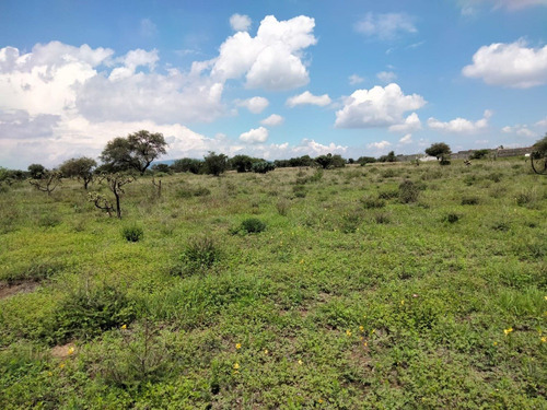 Imagen 5 de 9 de Terreno Tequisquiapan Querétaro Sup. 3,000 Mts