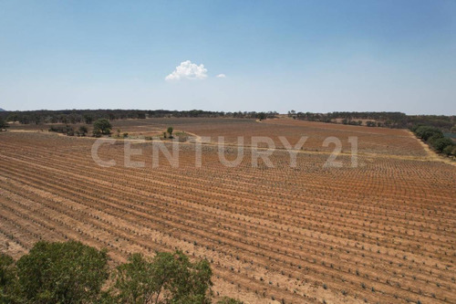 En Venta!!! Terreno Ubicado En Josefino De Allende, Jalisco.