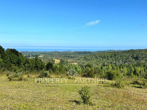 Oportunidad De Inversión, Campo Con 1.700 M De Ori...