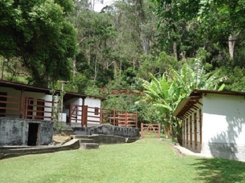 Imagem 7 de 30 de Sítio Com 172 Mil M² Em Vargem Grande. - St00129 - 32744432