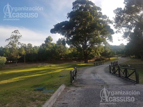 Imagen 11 de 20 de Terreno - Club Del Lago
