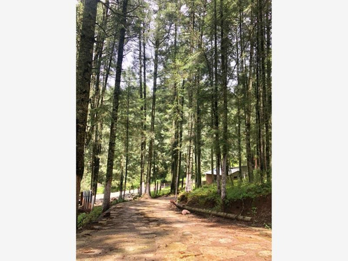 Imagen 5 de 12 de Terreno En Venta Mineral Del Monte Centro