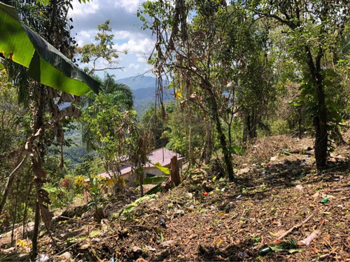 Vendo Solar En La Montaña De San Cristobal Majagual La Col