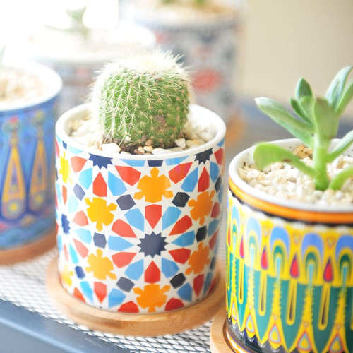 Paquete De 6 Macetas Para Plantas Suculentas De Mandala Con