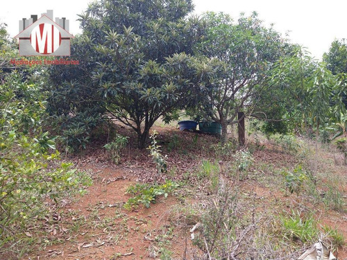 Linda Chácara Com 1 Dormitório, Córrego, Pomar, Campinho, Trio Mineiro, À Venda, 10000 M² Por R$ 350.000 - Tuiuti - Tuiuti/sp - Ch0834