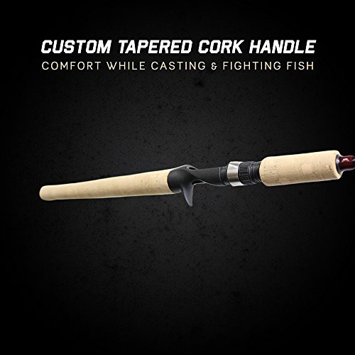 11 Cork Salmon Steelhead Fishing Rod G4