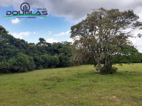 Lindo Sítio 2 Hectares Ótima Localização - 1535