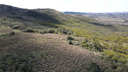 Campo En Rocha De 137ha (ref: Atm-6803)