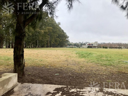 Imagen 7 de 30 de Venta De Terreno En Campos De Roca Ii (27850)
