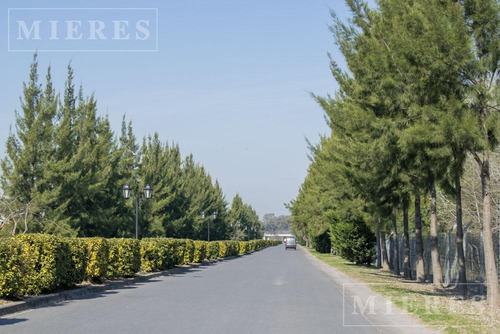 Imagen 3 de 8 de Lote En Venta En Área 3 En San Matias