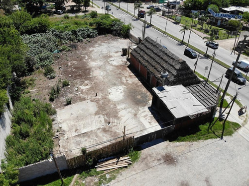 Imagen 10 de 10 de Terreno - Tigre