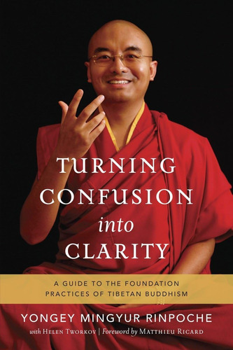 Libro Turning Confusion Into Clarity-inglés