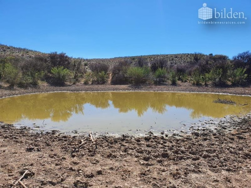 Imagen 12 de 12 de Terreno En Venta San Pedro Del Gallo