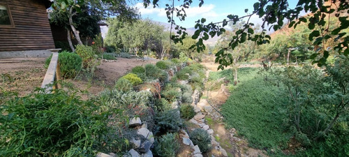 Imagen 13 de 23 de Tejada. Casa Olmue. Valor Incluye Mantencion De Jardines.