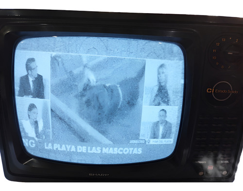 Impecable Tv 12 Pulgadas Sharp Blanco Y Negro. ¡joya!. Funciona Perfectamente (Usado)