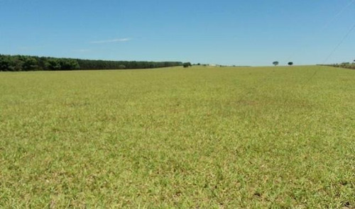 Imagem 12 de 14 de Fazenda Para Venda Em Bofete, Rural - Faz 098_1-2107800