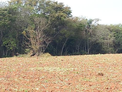 Imagem 1 de 14 de B02- More Próximo Ao Parque Do Morango! Lotes Promocionais!!