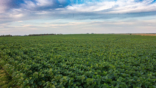 Venta De Campo Agrícola De 1134 Has En San José