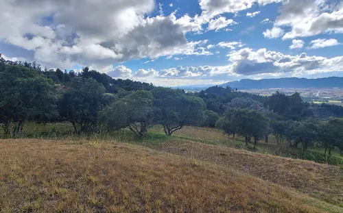 Lote En Venta En Vereda Yerbabuena. Cod V11970009