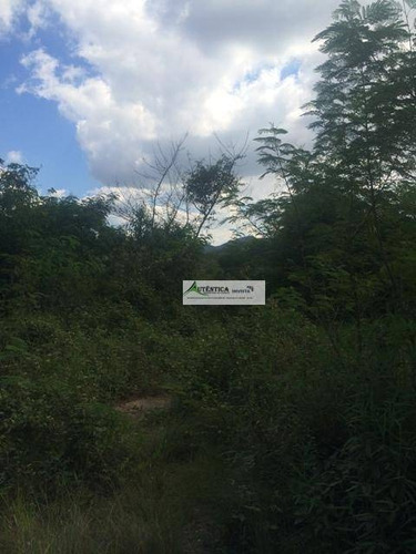 Imagem 7 de 8 de Terreno Residencial À Venda, Lagoa Dos Ingleses, Nova Lima - Te0011. - Te0011