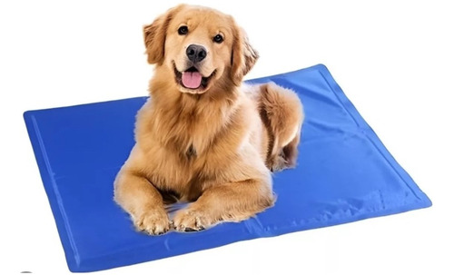 Colchon Para Perros Pequeños Talla L