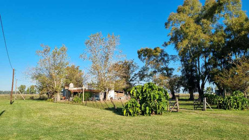 Campo En Venta En Lujan Centro