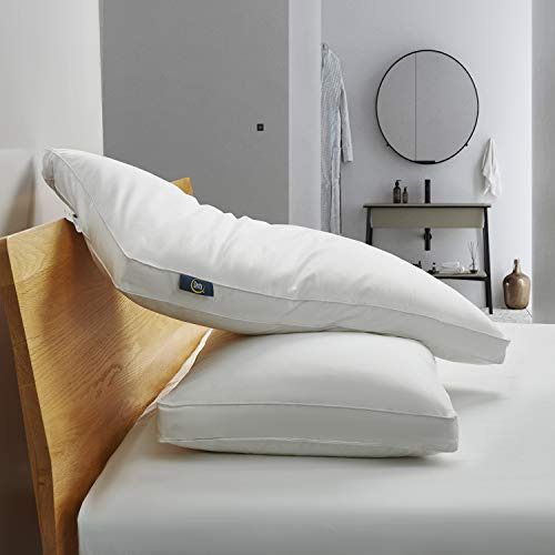 Almohada De Plumas De Ganso 233 Hilos Jumbo X2