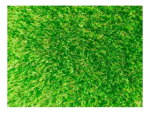 Mix Semillas Cesped Perenne 4 Estaciones 1k 50m2 Jardines