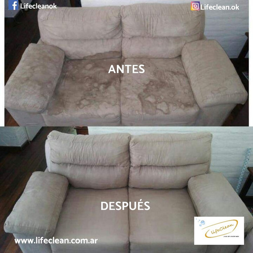 Imagen 3 de 5 de Limpieza Y Desinfección De Tapizados, Sillones Y Alfombras