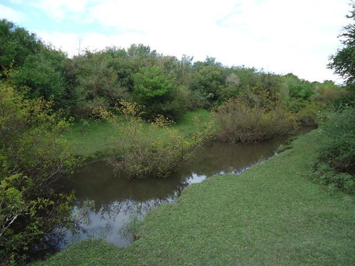 Campo En Venta En Lavalleja. 37 Hectáreas.