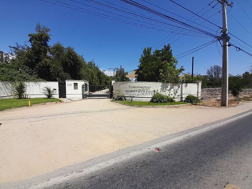 El Oliveto Al Costado De Colegio Carampangue Y Los Ceibos