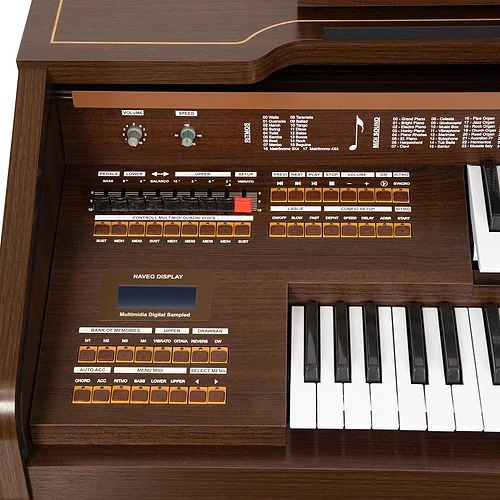 Orgao Eletronico Harmonia Hs300 Tabaco Profissional Cor Marrom 110V/220V