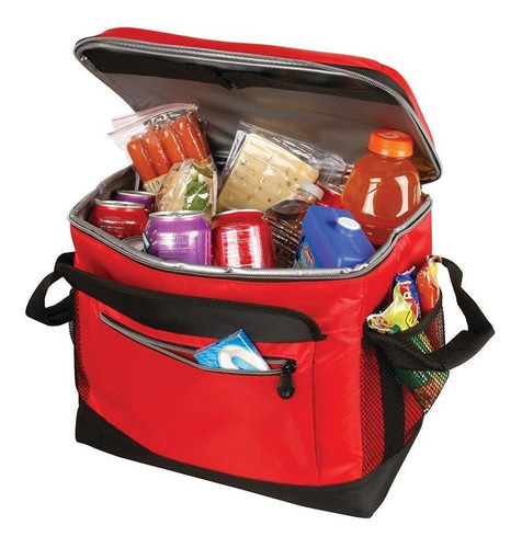 Imagen 2 de 7 de Conservadora Bolso Termico Coleman Collapsible Coleman