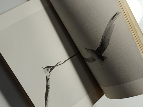 Livro A História De Fernão Capelo Gaivota, Richard Bach - Editora Nórdica (Usado)