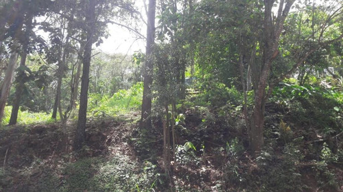 Imagem 14 de 21 de Terreno Em Parque Rizzo Ii, Cotia/sp De 1380m² À Venda Por R$ 160.000,00 - Te463143-s