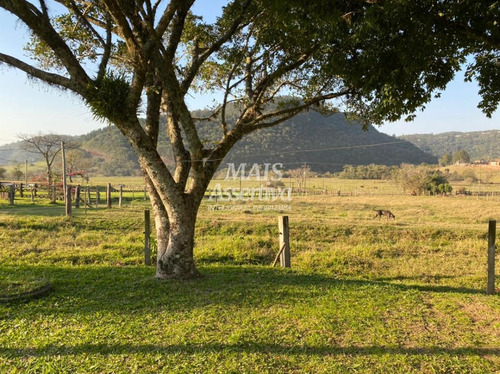 Imagem 8 de 15 de Sítio Para Venda Em Taquara, Fazenda Fialho, 3 Dormitórios, 1 Banheiro, 1 Vaga - 164897-jv_2-1345520