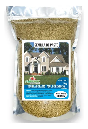 comprar Semilla De Pasto Azul De Kentucky 1 Kg (kentucky Blue Grass)