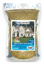 Comprar Semilla De Pasto Azul De Kentucky 1 Kg (kentucky Blue Grass)