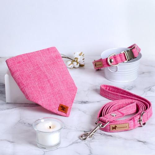 Collar, Correa Con Bolsa Y Bandana/ Paliacate