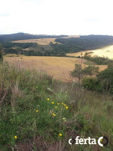 Imagem 5 de 15 de Fazenda - Centro - Ref: 345 - V-345