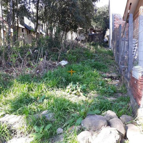 Imagem 2 de 3 de Terreno Em Canela - 771